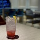 댕댕이 카페 | 의정부동 카페 포윅스커피, 댕댕이랑 다녀온 후기