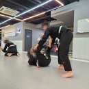 대청주짓수 | 기초부터 단단하게 배울 수 있는 장유주짓수, 대청주짓수 이용 후기