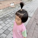 부일동물병원 이미지