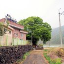 덕산리새마을