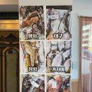 정동진식당 이미지