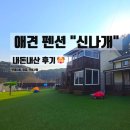 신나개 | 애견 동반 펜션 신나개 추천 동해 삼척 덕산해변 근처 내돈내산 후기