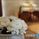 효원상조강원의전 | 쉴낙원오산동탄장례식장 장례상조로 비용 알아본 후