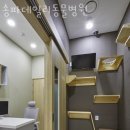 송파데일리동물병원 이미지
