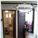 한신스포렉스 이미지