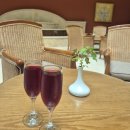 서안약국 | 룩소르 숙소 추천 이베로텔 후기 + 이집트 여행 중 꼭 필요한 약 정보!