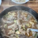 향지 - 강남구 | 부안 맛집 추천 먹어 본 내장탕중 최고! 향지회관 후기 내돈내산