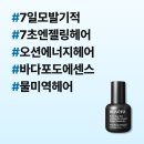 헤어블랙로즈