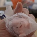 GS25장림하신점 | 편의점 신상 뭘 사야 할지 고민