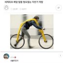 일장성 | 줄였는데도 뭐가 많은 나의 환절기 이야기