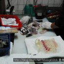 오대감산오징어 이미지