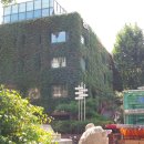 마로니에공원 이미지