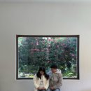 소소링제주2