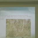 환경교육전문가 이미지