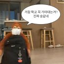 빠라빠라 이미지