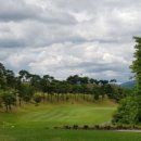 메디칼밸리 이미지