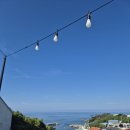 스테이마레 이미지