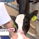 민재목장 이미지