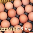 등고개농장 이미지