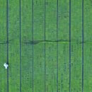 노안축산 이미지