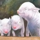 아기돼지 삼형제 이미지