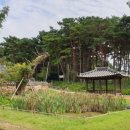 상지석교차로 이미지