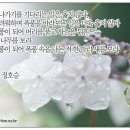 폭풍-정호승 이미지