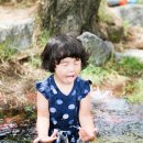 구갈레스피아 이미지