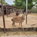 인천대공원(어린이동물원) 이미지