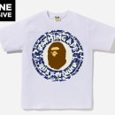 비지닷컴 이미지