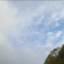 하늘자동차공업사 이미지