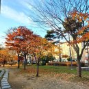 개빵뜯어먹는소리 | 용인 역북소공원 근처 강아지 수제간식 케이크샵 개빵뜯어먹는소리 방문후기