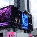 슈스트링 호텔 이미지