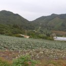 백로마을 | 250907 백로