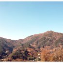 화개장터 이미지