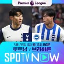 브라이튼미