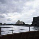 (주)마켓디퍼 | 무계획 시드니여행 버거 맛집 바 루카와 다시 찾아가는 루나파크