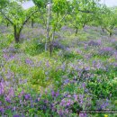 새실농장 이미지