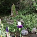 천시원교육농장 이미지