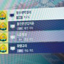 유나여행사 이미지