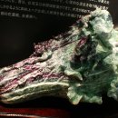 도마초등학교 이미지