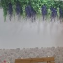 한컷스튜디오