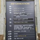 리플리히네일