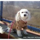 씽씽카세차장 이미지