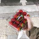 행운청과야채