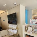 더펫미용실 이미지