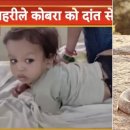 (주)호스코 이미지