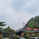 다솜차반 이미지