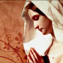 아베(AVE) 이미지