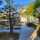 증평인삼탕 이미지